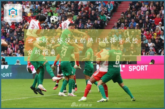 世界杯买球投注的热门选择与风险分析指南