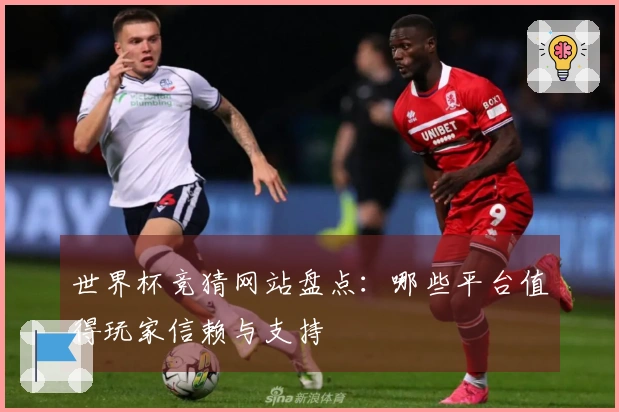 世界杯竞猜网站盘点：哪些平台值得玩家信赖与支持
