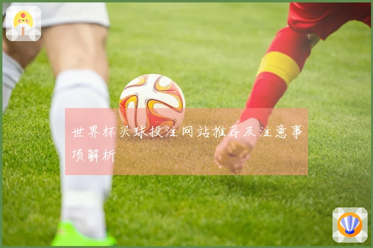 世界杯买球投注网站推荐及注意事项解析
