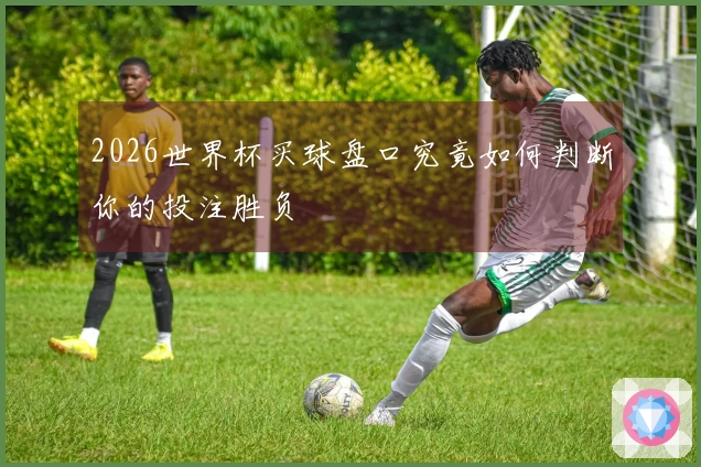 2026世界杯买球盘口究竟如何判断你的投注胜负