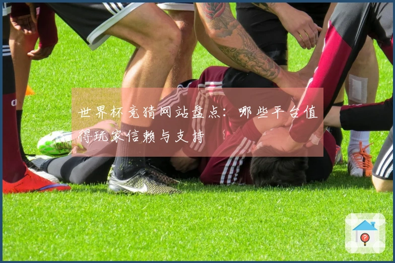 世界杯竞猜网站盘点：哪些平台值得玩家信赖与支持