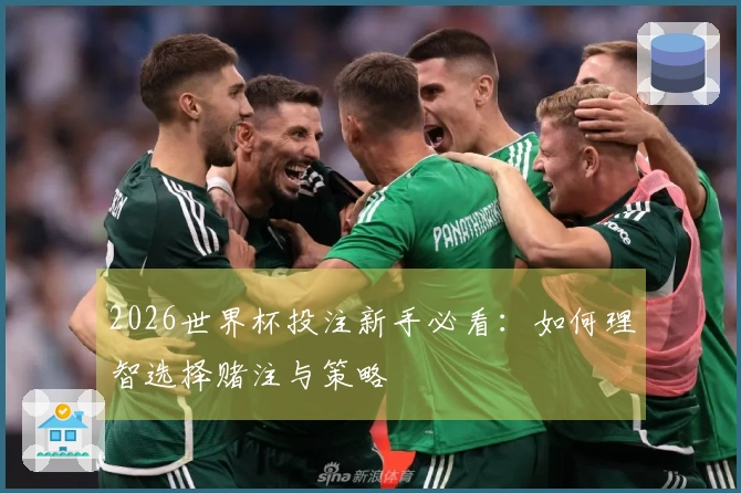 2026世界杯投注新手必看：如何理智选择赌注与策略