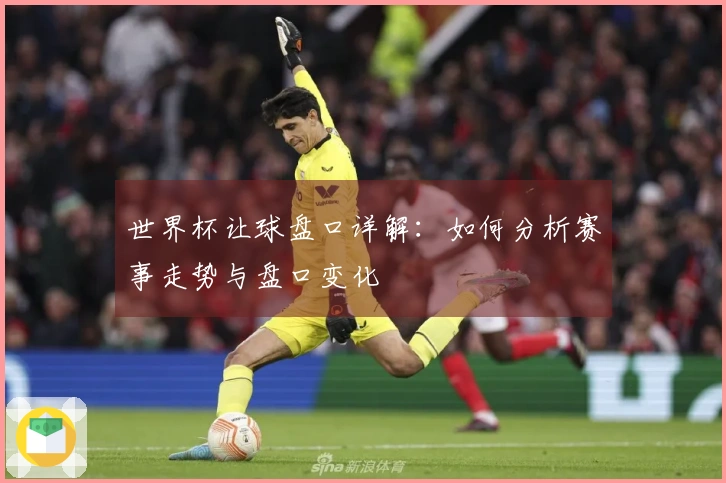世界杯让球盘口详解：如何分析赛事走势与盘口变化