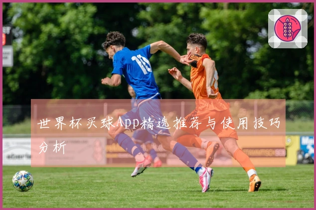 世界杯买球App精选推荐与使用技巧分析