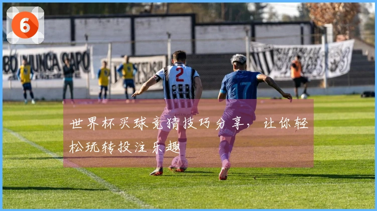 世界杯买球竞猜技巧分享，让你轻松玩转投注乐趣