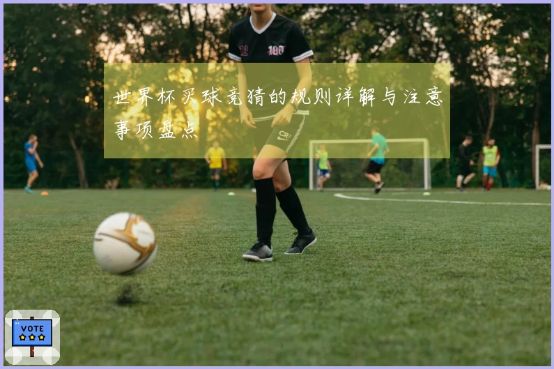 世界杯买球竞猜的规则详解与注意事项盘点