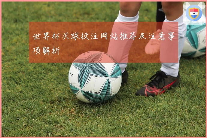 世界杯买球投注网站推荐及注意事项解析