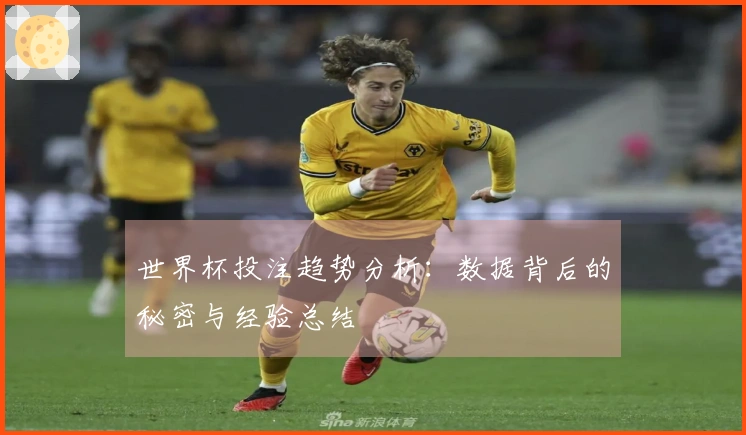 世界杯投注趋势分析：数据背后的秘密与经验总结