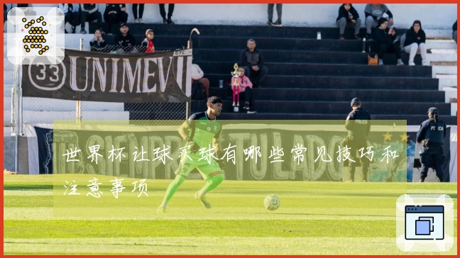 世界杯让球买球有哪些常见技巧和注意事项